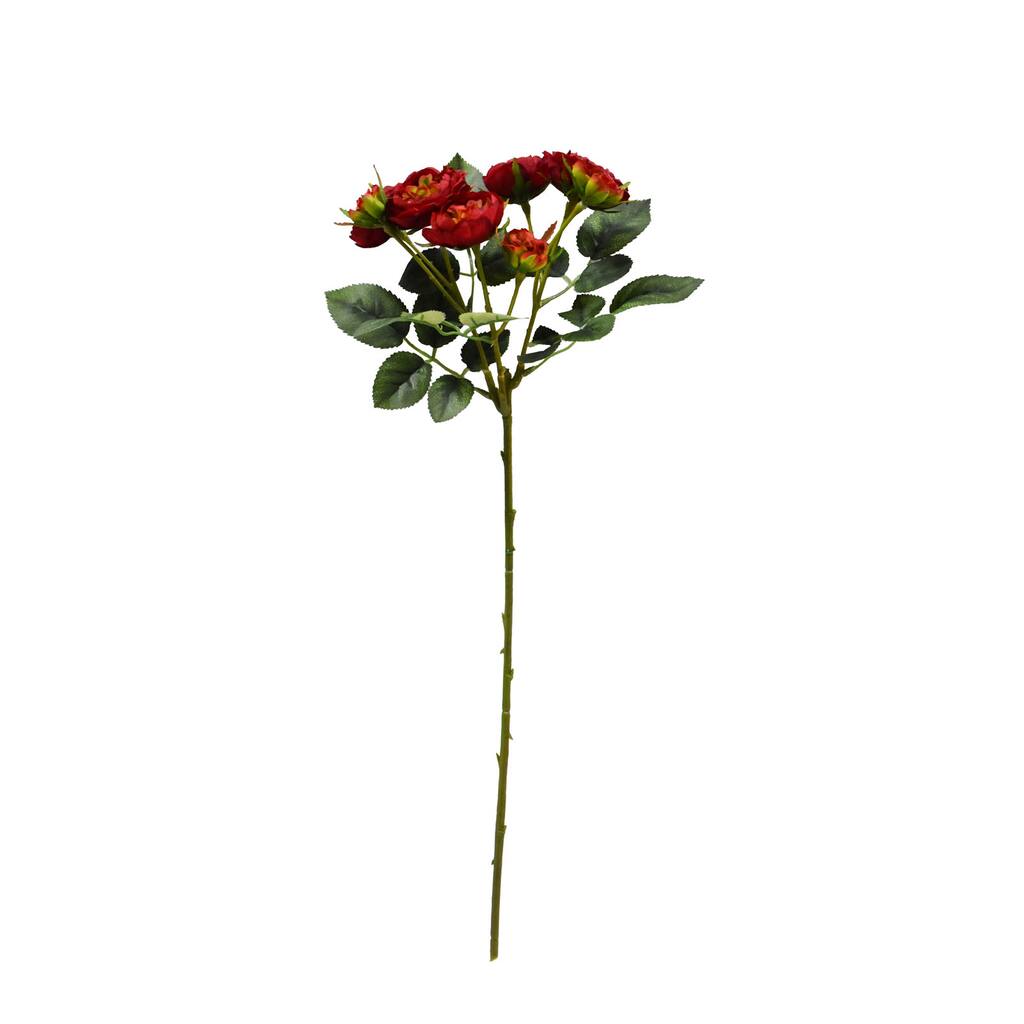 10649280_1.jpg img
